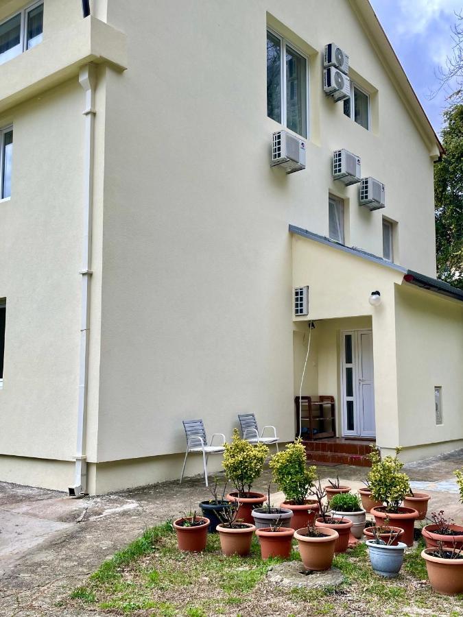 Apartments Lav Kotor Eksteriør billede